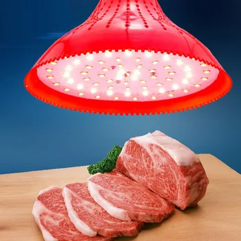 Led meat fresh lamp