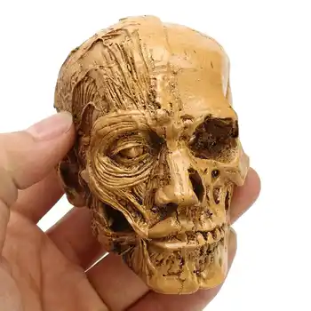 Skitse Harpiks Håndværk Skull Hoved Model Udskæring Halloween Fest Dekoration Kraniet Skulptur, Smykker, Boligindretning Tilbehør