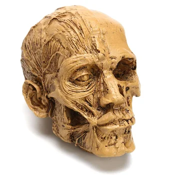 Skitse Harpiks Håndværk Skull Hoved Model Udskæring Halloween Fest Dekoration Kraniet Skulptur, Smykker, Boligindretning Tilbehør