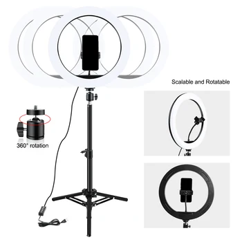 13 Tommer Makeup Selfie LED Fyld Lys 33cm med telefonholder Dæmpbar 3000-6000K Ring Lampe Kit til Udendørs fotostudie Video