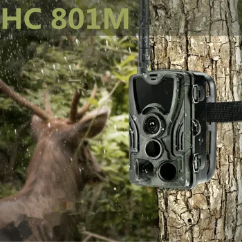 2G Dyreliv Trail Kamera HC801M Jagt Kameraer 16MP 1080P SMS Infrarød Night Vision MMS Foto Fælde For Offentlig Sikkerhed Cams