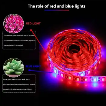 1/3/5M LED vækst Lys Stribe USB Fulde Spektrum Vokse Strip Lampe Rød +Blå Voksende Lampe til Hydroponics Blomster, Planter, Grøntsager