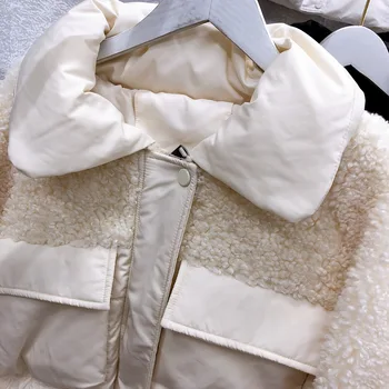 Faux Fur Teddy Kvinder Frakke Efterår Og Vinter 2020 Casual Solid Slank Lang Jakke Kvindelige Elegante Tyk Varm Parkacoats Oversize Tøj