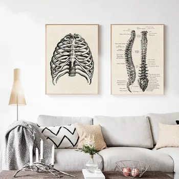 Den menneskelige Anatomi Kunst Medicinsk Skelet Vintage Lærred Malerier, Plakater og Prints Væg Kunst Billede til stuen Home Decor