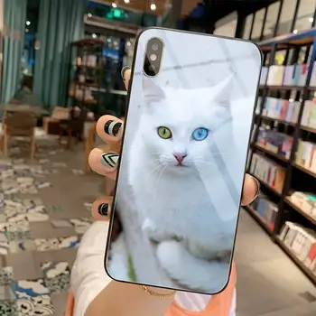 Sød kat farverige øjne Blød Gummi Telefon Dække Hærdet Glas Til iPhone 11 Pro XR XS MAX 8 X 7 6S 6 Plus SE 2020 sag