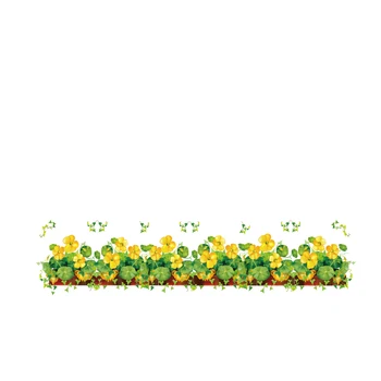 [shijuekongjian] Gule Blomster Baseboard Klistermærker DIY Planter Vægmaleri Decals til Stue Køkken House Glas Dekoration
