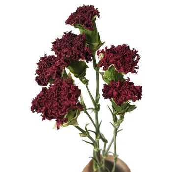 Bouquet Af Tørret Nellike Blomster Til Dekoration Luft-Tørrede Buketter Af Blomster Kreative Gaver, boligindretning JH62