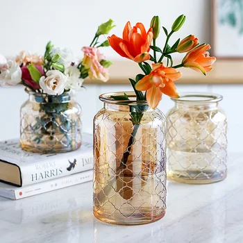 Glas Vase Stue Tørrede Blomster Nordiske Glas Gennemsigtige Hjem Tilbehør Til Udsmykning, Blomst Vaser Bordplade Vase