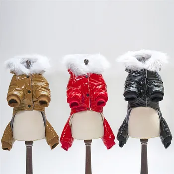 Brand Kæledyr Hund Tøj Bomuld Rusland Vinter Tykkere Kostumer Hættetrøjer Tøj til Lille Hvalp Hunde roupa cachorro hondenkleding