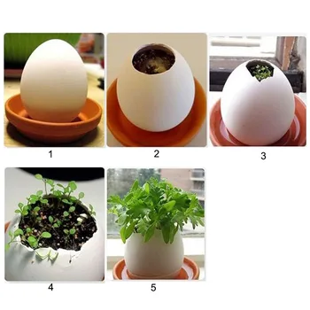 3pcs/sæt Mini Farverige Kreative DIY Heldige Æg potteplante Office Desktop Bruge til Haven Dekoration