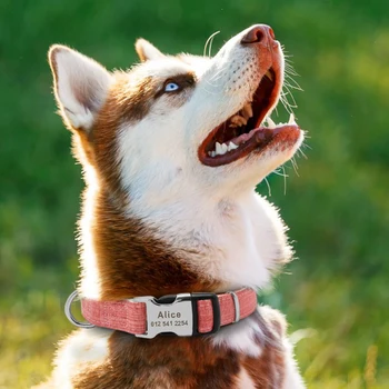 Personlig Hund Krave Nylon Hvalp Kraver Justerbar Tilpassede Hundetegn Krave Til Chihuahua Tyske Shepherd Pet Products Perros