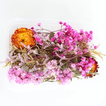 Rigtige Tørrede Blomster Planter Til DIY Tilbehør, Flere Blomster Materiale til Aromaterapi Stearinlys Resin Vedhæng Gøre Håndværk WWO66
