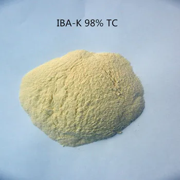 100grams indol-3-smørsyre kalium IBA-K vandopløselige 3-Indolebutyric Syre kalium 98% IBA Salt rod vækst hormon