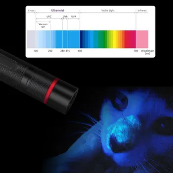 TMWT Blacklight 5W LED UV-Lommelygte 365NM Ultraviolet Type-C USB-Genopladelige Lanterna Fakkel 18650 For Pet Pletter Markør
