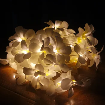 Kreative DIY-frangipani LED String Lys, AA-Batteri blomster ferie belysning, Begivenhed Party ferie dekoration,Baby Nat Lys