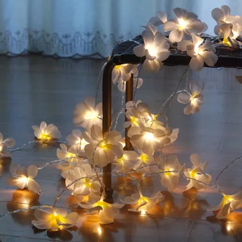 Kreative DIY-frangipani LED String Lys, AA-Batteri blomster ferie belysning, Begivenhed Party ferie dekoration,Baby Nat Lys