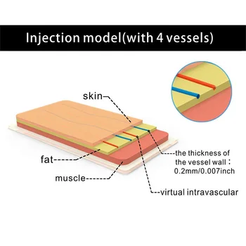 Venepunktur Iv injektion Uddannelse Pad Model, Silikone Hud Sutur Uddannelse Model, injektion Praksis Pad, 4 Vener Imbedde