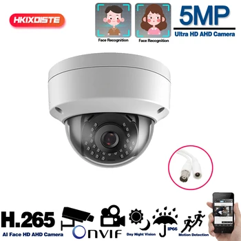 H. 265 5MP Overvågning CCTV Kamera Vandtæt Vandalproof 5MP HD-Kamera, Face & Motion Detection-IR Night Vision Dome Kamera AHD