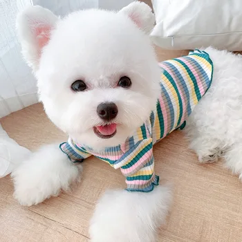 Nye Hvalp Vinter Sweater Kostume Regnbue Stribet Dog Tøj Til Små Hunde Flæse Krave Hunde Shirts Efteråret Pet Chihuahua Strik
