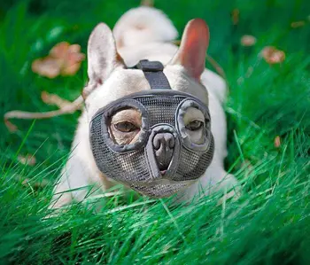 Kort Snude Hund Mundkurve Justerbar fransk Bulldog Snude Dog Munden Maske Åndbar Snude for Anti Stop Gøende Forsyninger