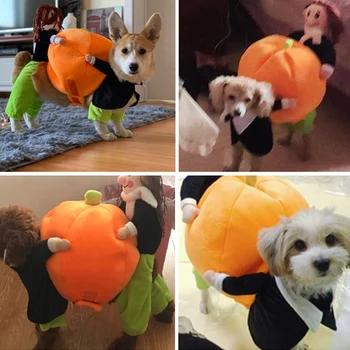 HEYPET Pet Halloween Cosplay Tøj, Sjove Græskar Hund Tøj Kostume Jumpsuits til Små og Mellemstore Hund Mops fransk Bulldog