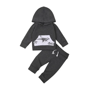 2 Stykker Børn Jakkesæt Baby Dreng Og Piger Dinosaur Print, Lange Ærmer Hooded Pullover+ Ensfarvet Bukser Grå Tøj