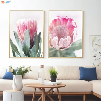 Australske Protea Native Blomst Plakater og Prints Botaniske Lærred Maleri Store Væg Malerier på Væggen i Hjemmet Indretning