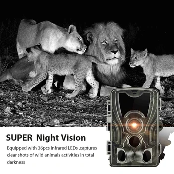 HC801B Jagt Trail jagt fælde Kamera Wild game night dyr termisk foto Vandtæt Med 20MP Billede Udløse Dyreliv Scouti